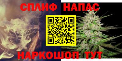 дживик Владимир